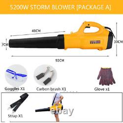 220V/5200W Portable Household Electric Cleaning Garden Blower Leaf Hair Dryer
